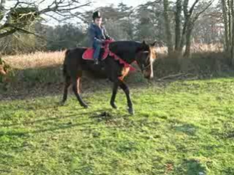 Valentin et Bellinda