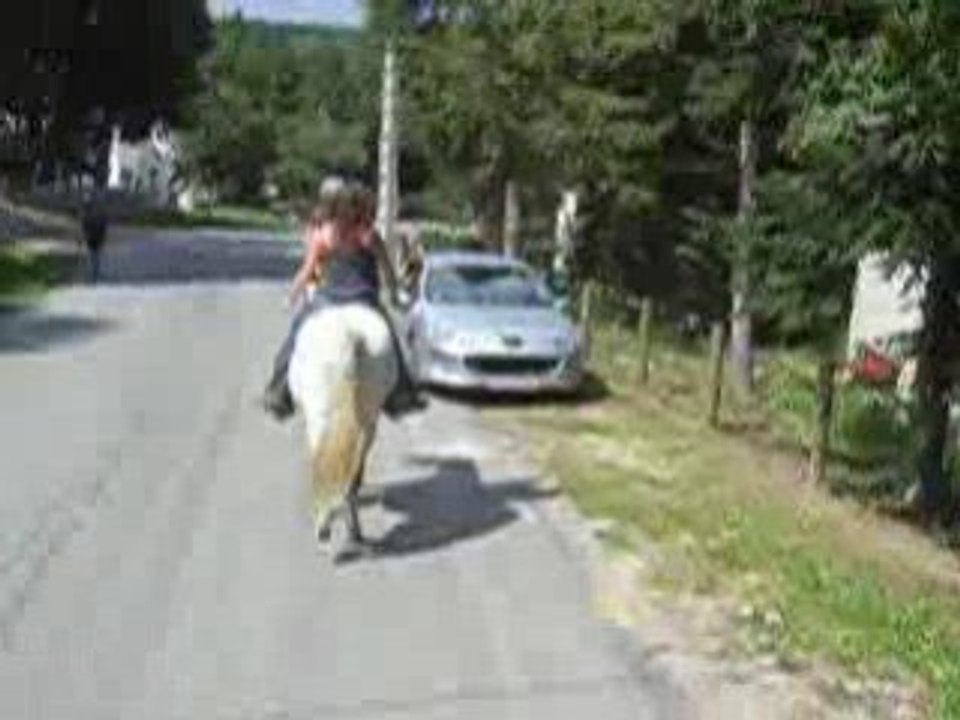Balade dans les pyrénées