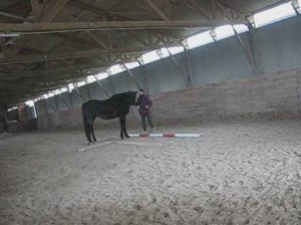 SansTitre_0002