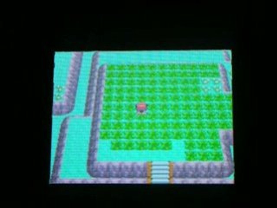 2e Pichu shiney