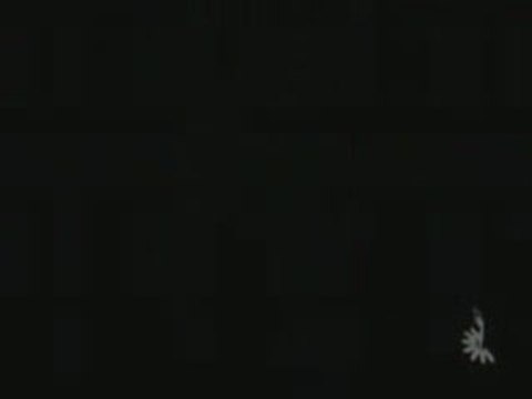 Plus Size Body Shapers - Plus Size Full Body Shapers