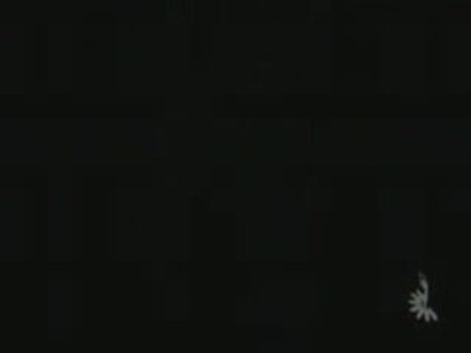 Plus Size Body Shapers - Plus Size Full Body Shapers