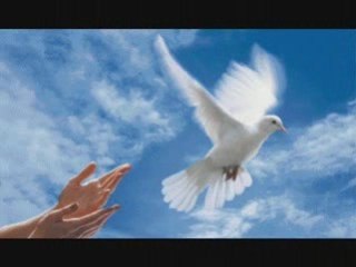 L oiseau et l enfant - Marie Myriam