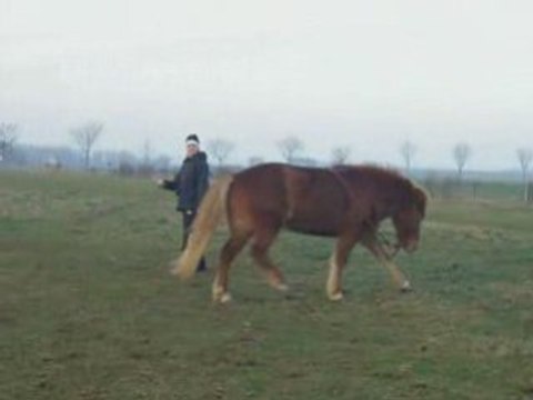 Séance du 30 Décembre 2008