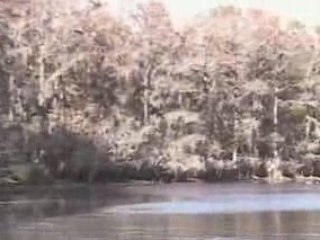 Treasure At Caddo Lake
