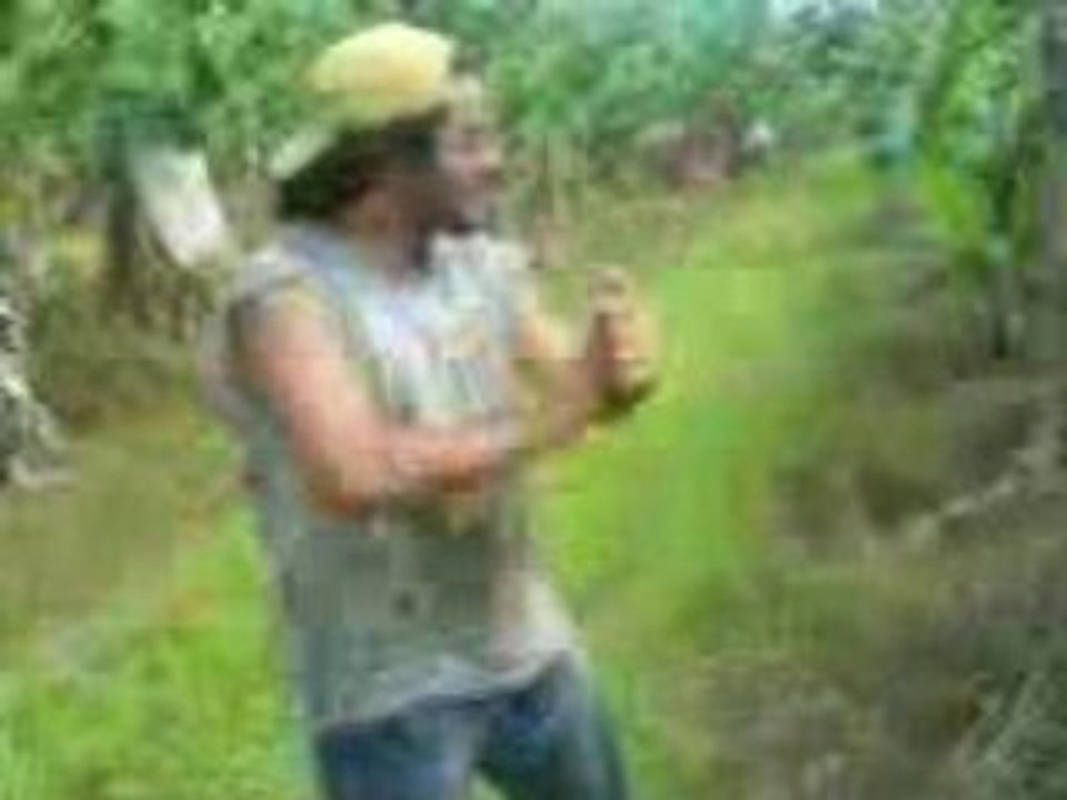 Leçon de kung fu de monsieur banane