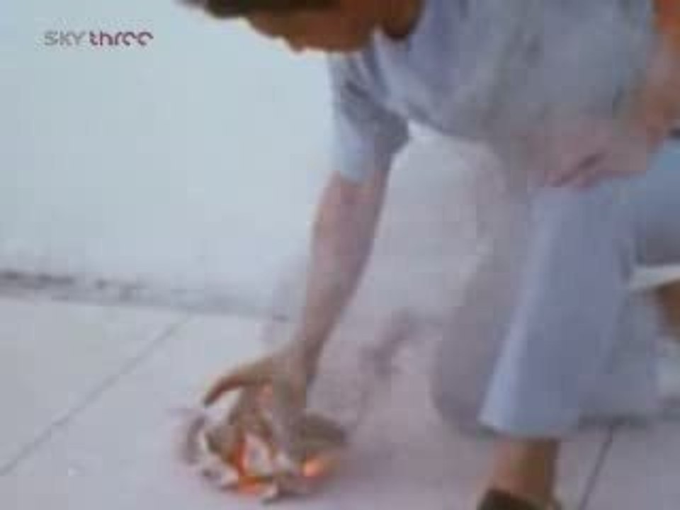 Chi power Master John Chang Qigong Ki energy