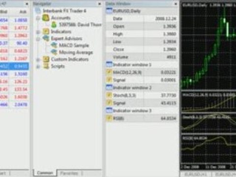 Stop Losing Money to Forex Scams