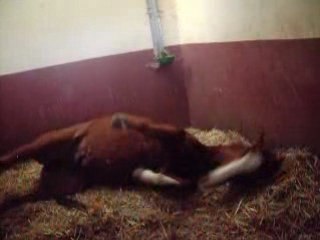 Discussion dans sa boîte :P