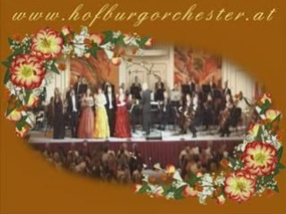 New Years Concert -Vienna Hofburg Orchestra 2008