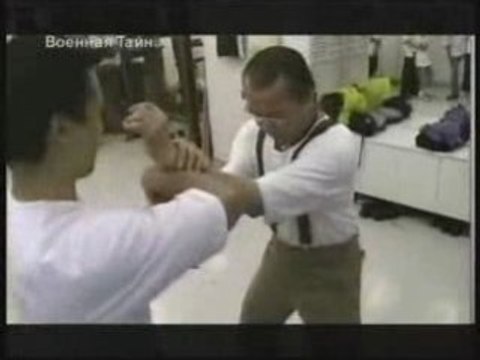 Sifu Wan Kam Leung Practical Wing Chun