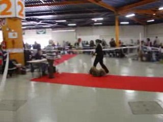 Boomer à Metz, 11 mois.