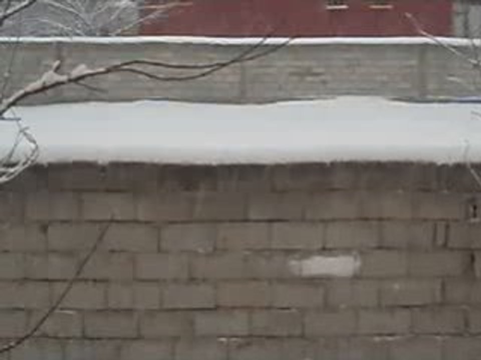 P1010004_clip0