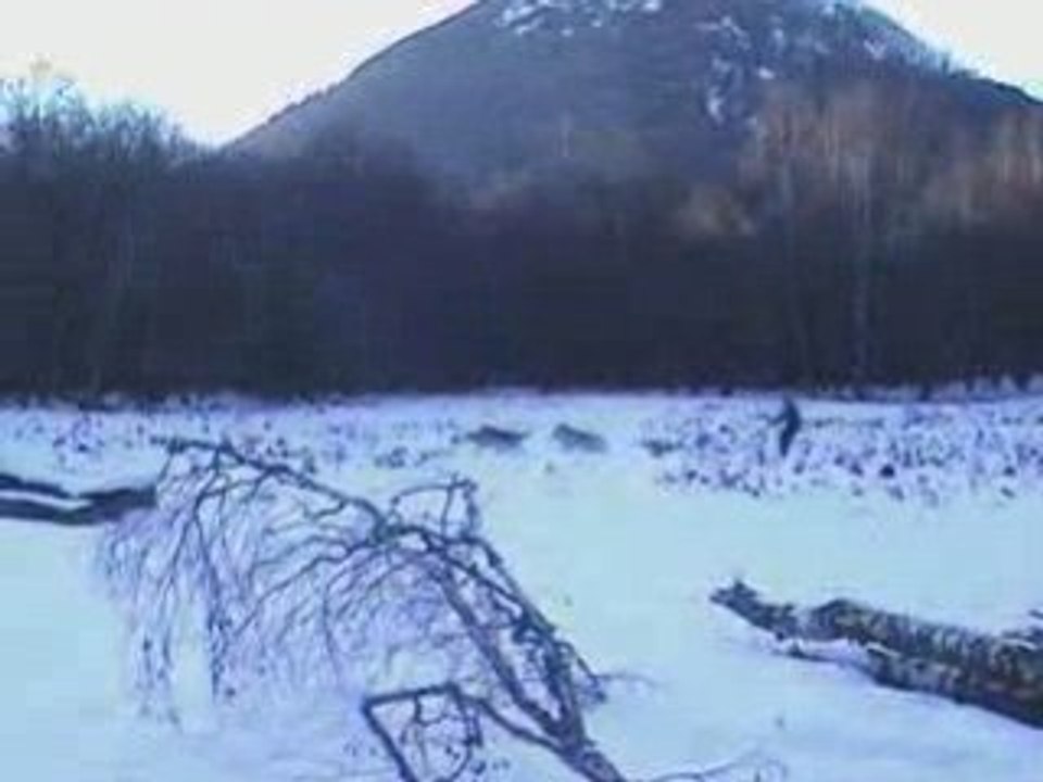 Baika, Apache, Yuna, Shadow (vidéo 1)