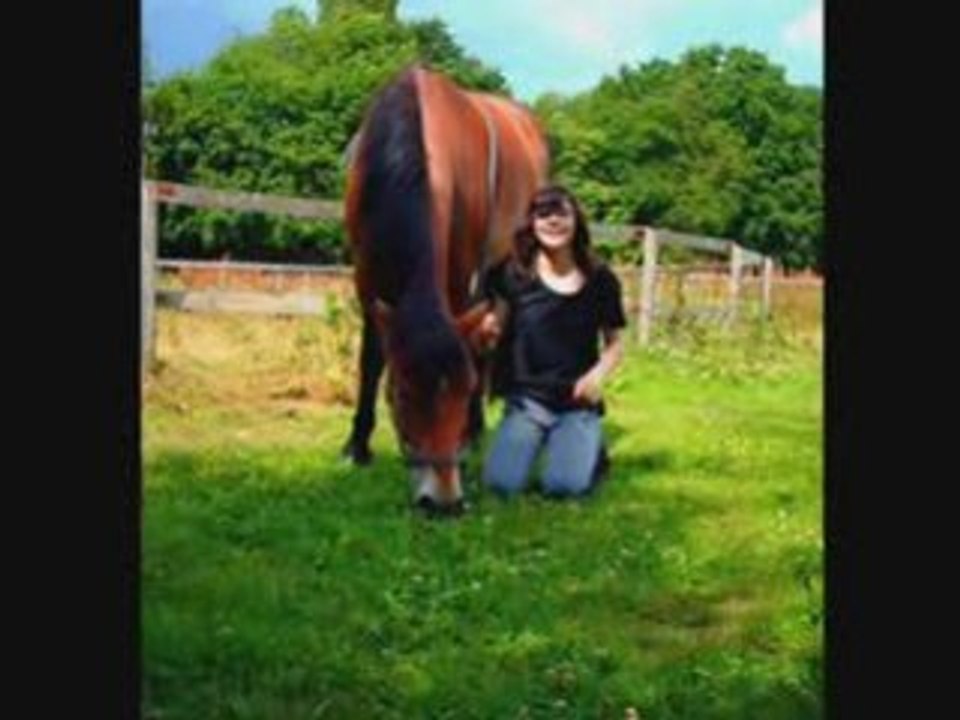 Poneys d'Equi Loisir.