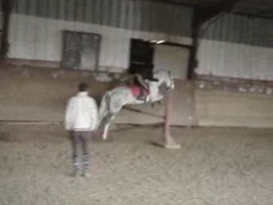 MOV03766