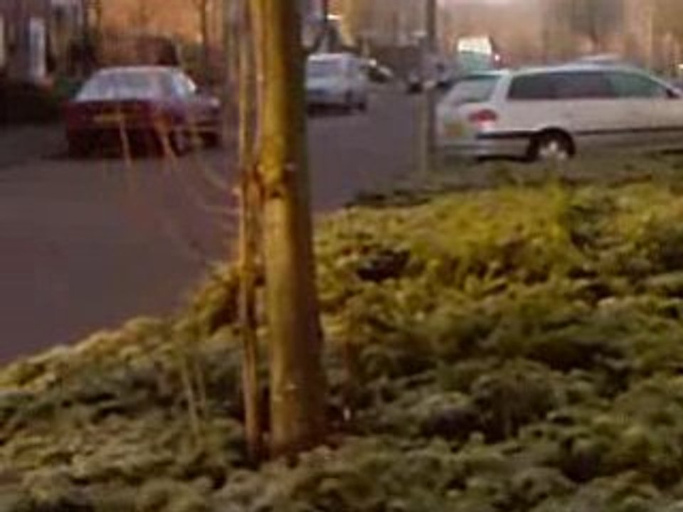 Video-0002