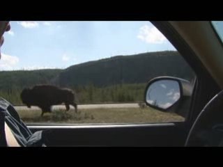 Episode 8:  Not In Kansas Anymore