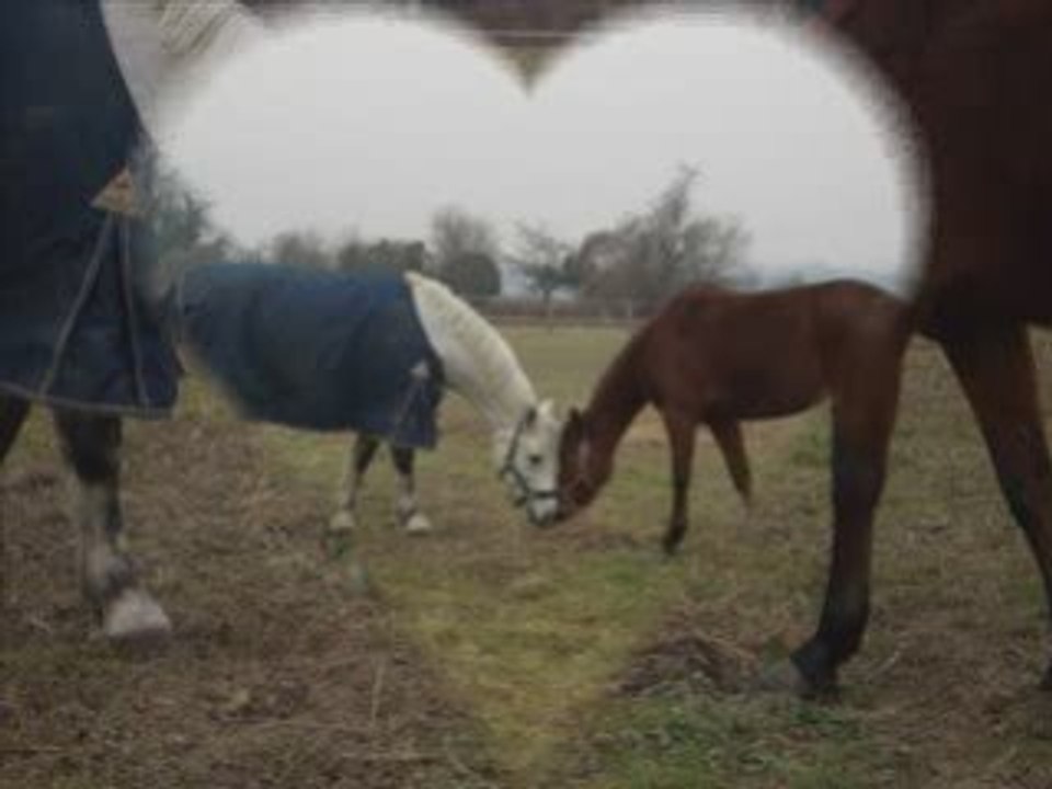 Jingle et alizee
