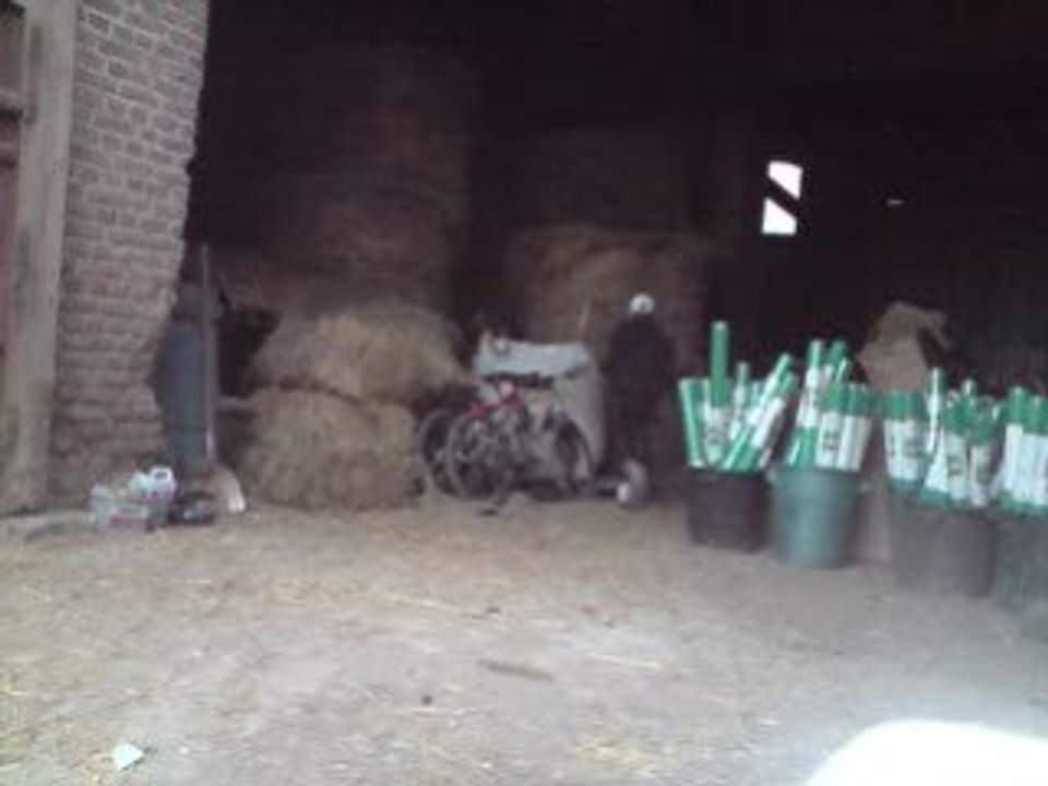 valentin59