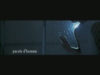 adn namor s.teban parole d'homme