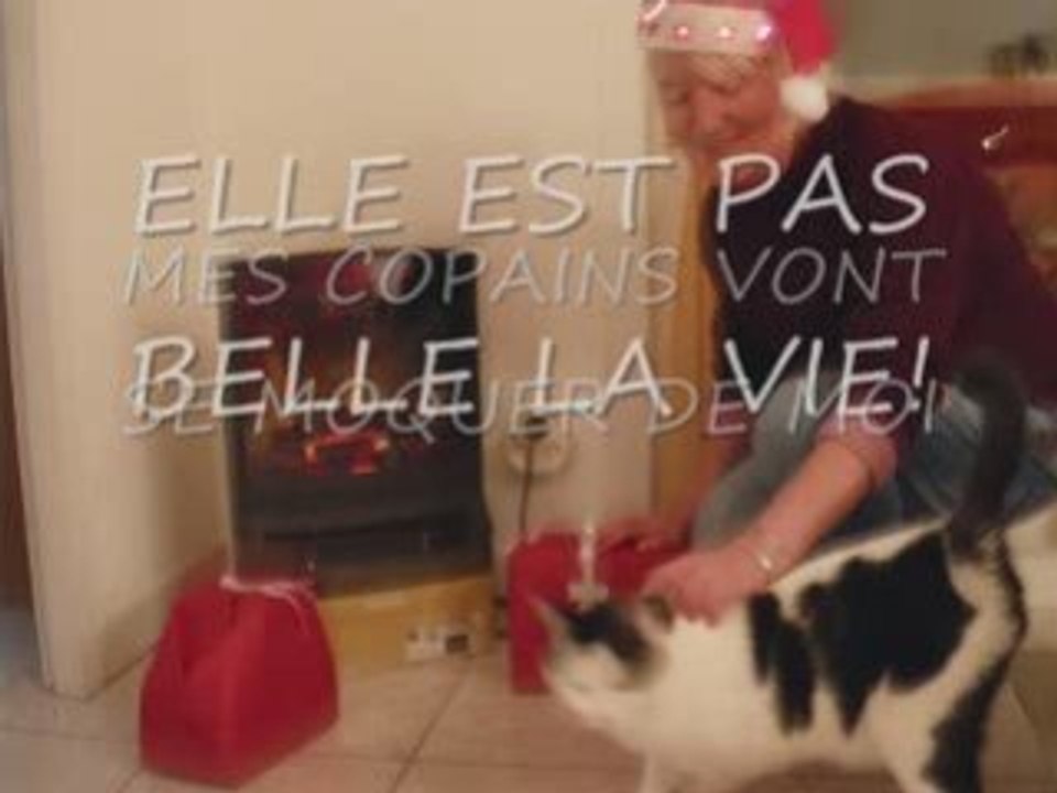UNE VIE DE CHAT
