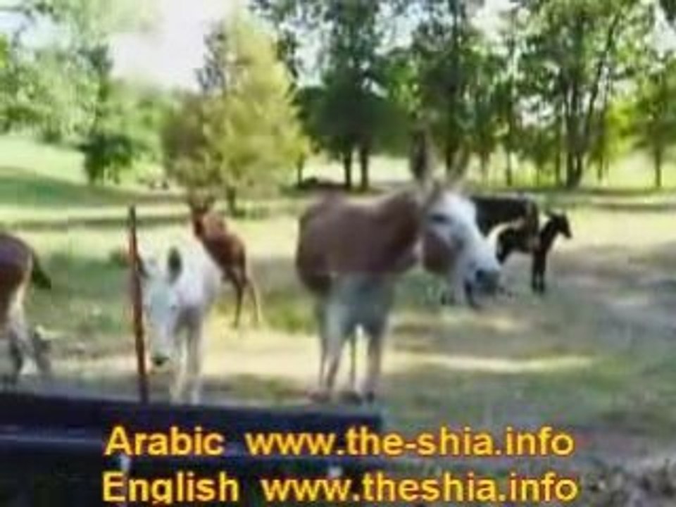 احلى لطميه لا تفوتك جينا ننشد كربلا