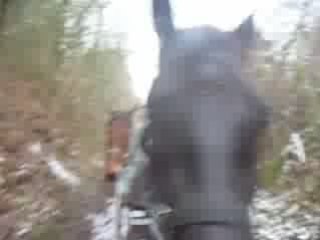 Dhéa et Chouf en ballade