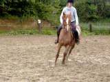 Trot pas galop = refus oxer