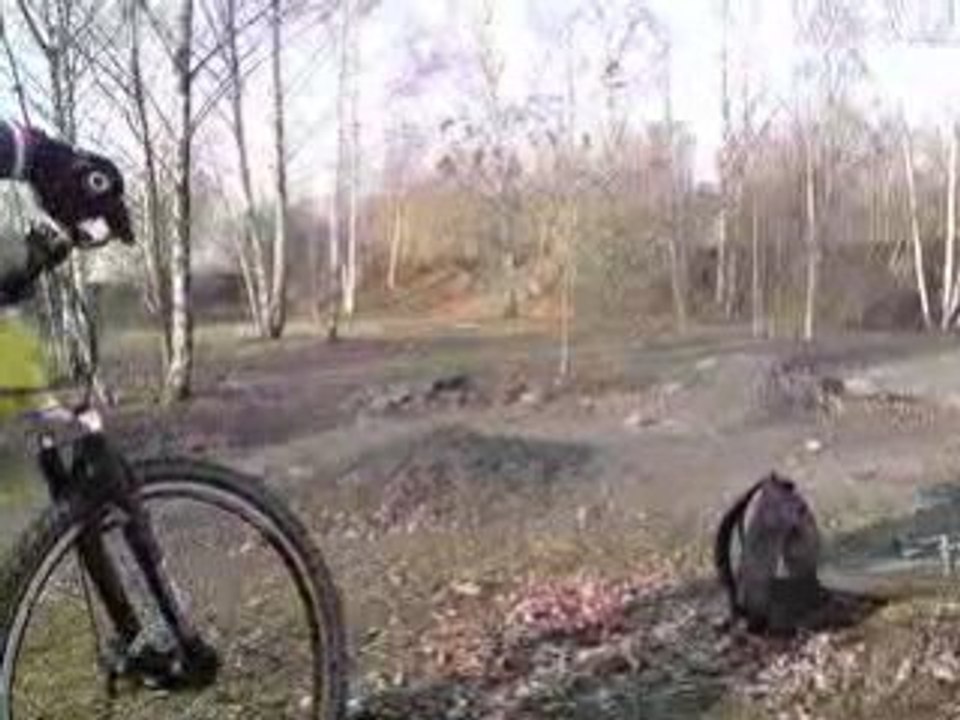 Vtt