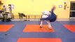 12 attaques imposées ju-jitsu pour la ceinture noire de judo