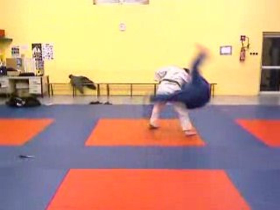 12 attaques imposées ju-jitsu pour la ceinture noire de judo