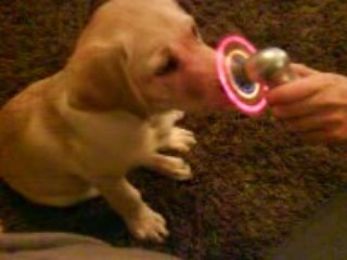 Jeux débile Théo et mwa