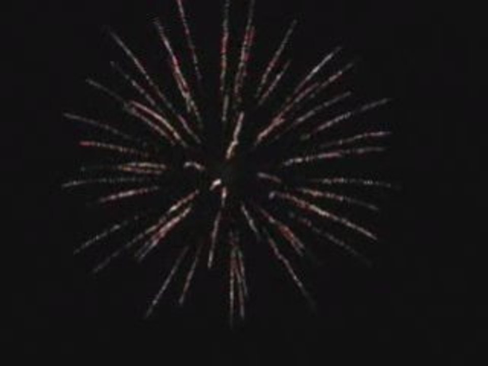 Bombe 75mm Saule Pleureur