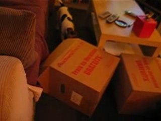 Daïa adore les livraisons de courses ! II