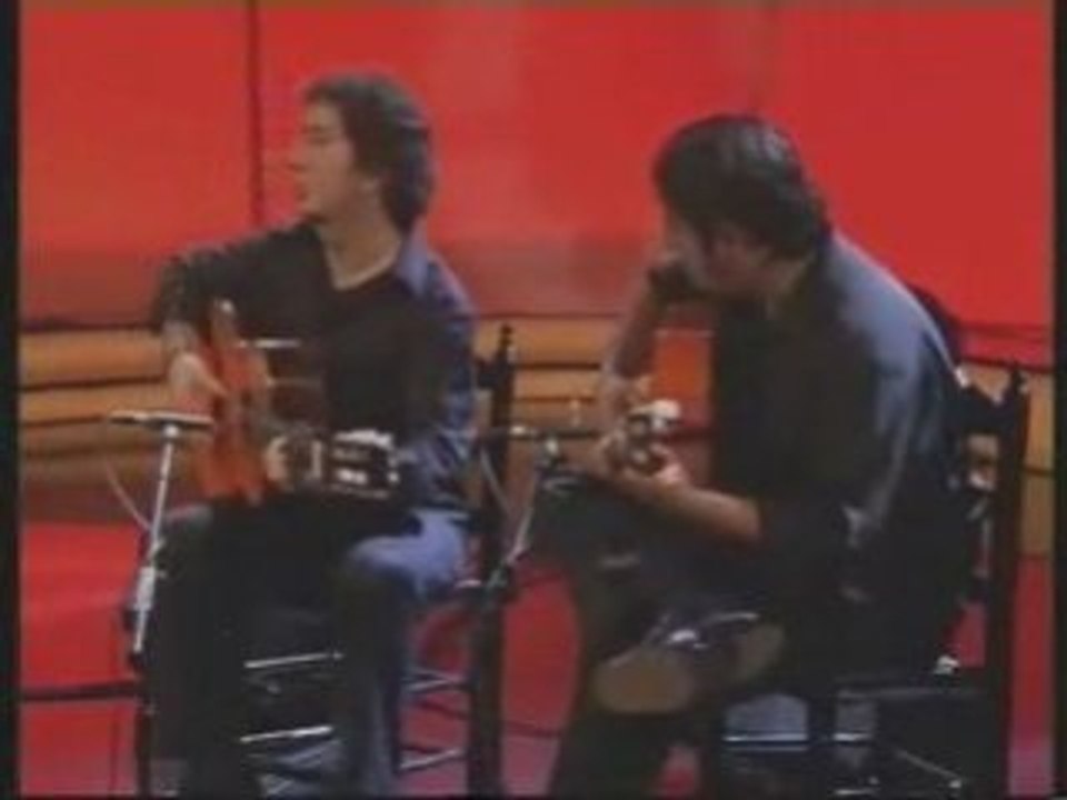 Terremoto hijo por bulerias