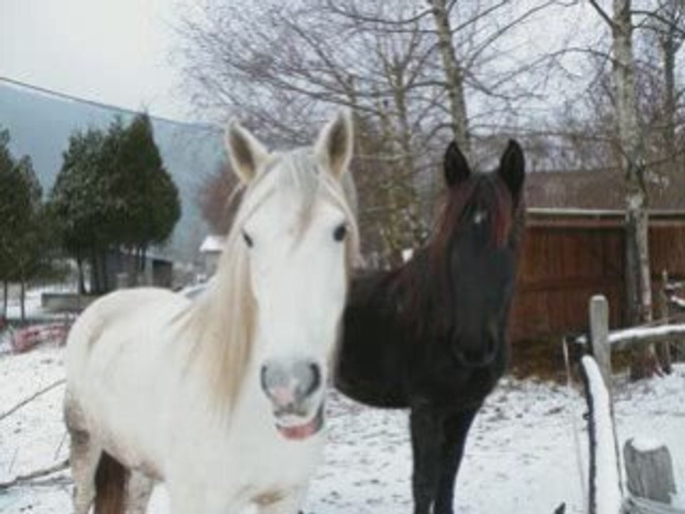 La neige le retour