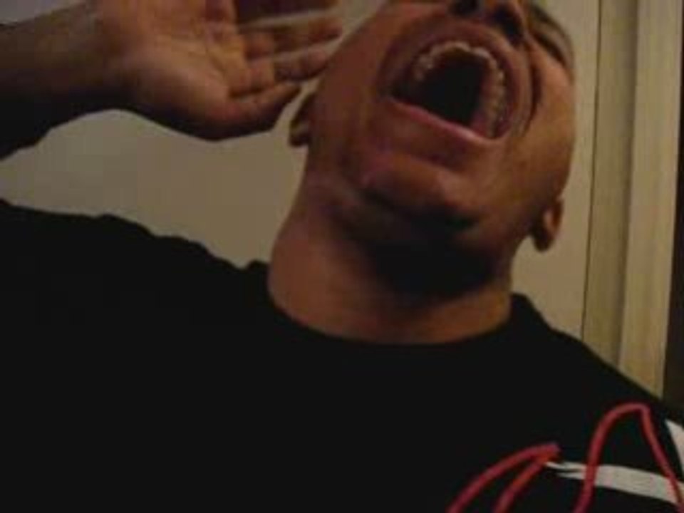 VANTARD EST DINGOGOL [regarde-ma-video.skyrock.com]