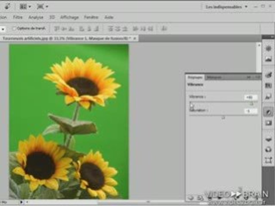 Adobe Photoshop CS4 photographes : Vibrance ou saturation ?