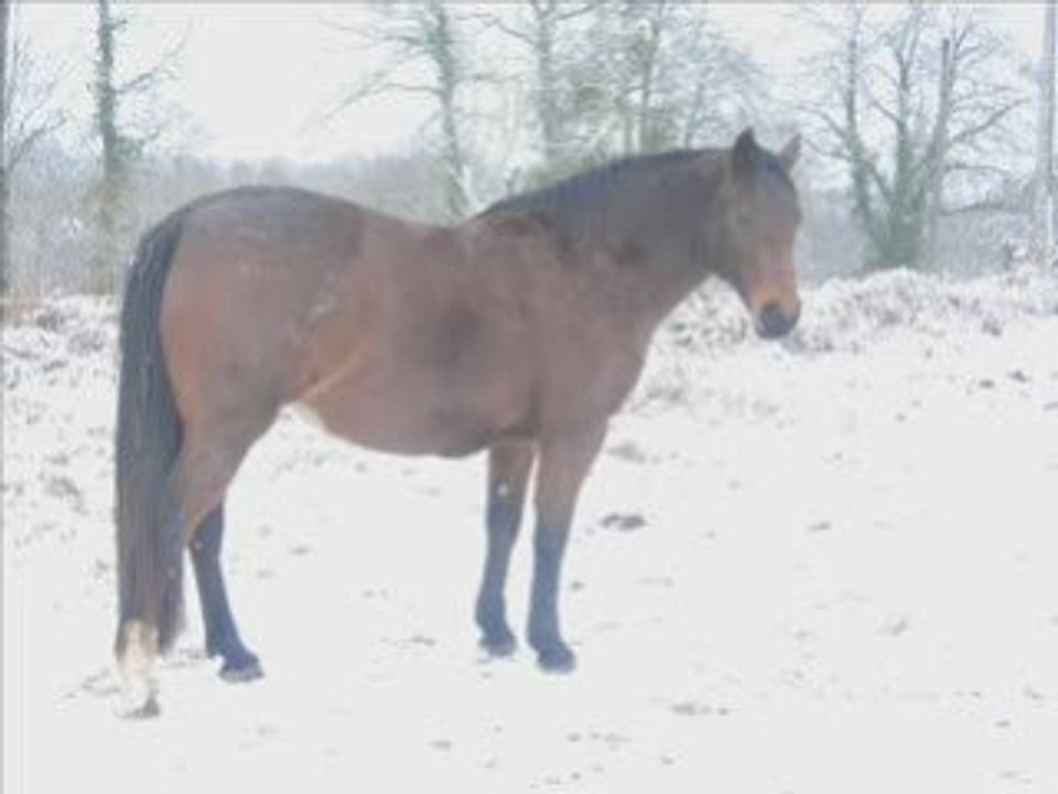 Montage neige vikQLM