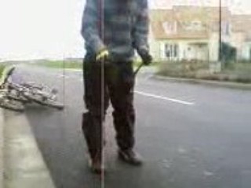 petit oiseau se fait chouté par dydypatate (camera julian)