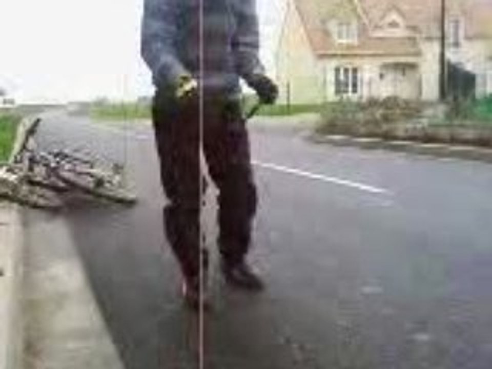 petit oiseau c pas volé