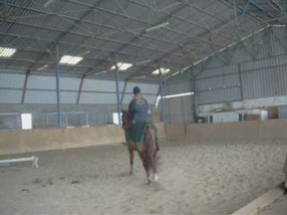 7 janvier 2009 Galop dans le manège