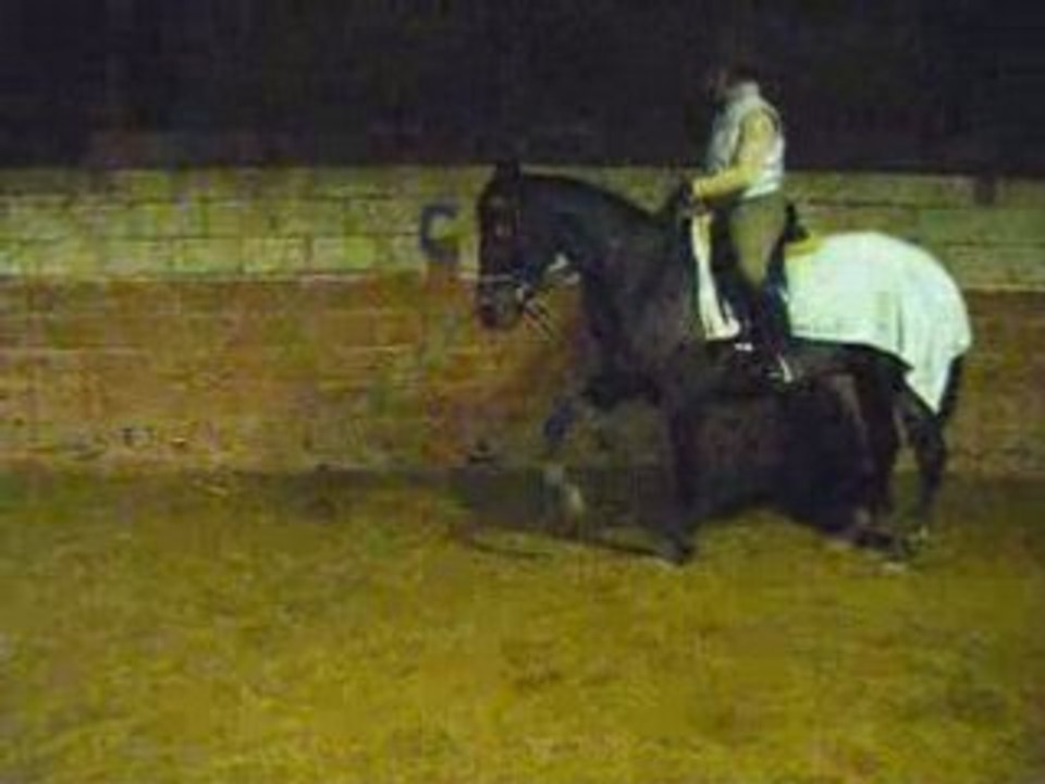 Querelle fait son show