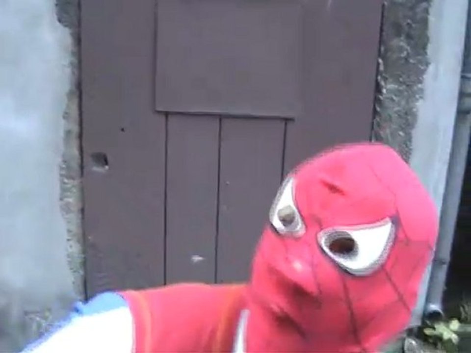 Spider