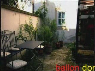 Barenboims sanfte Revolution beim Neujahrskonzert