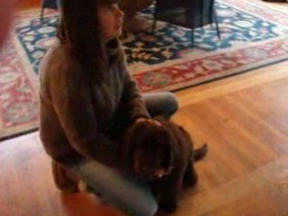 divine idylle dite Didi en visite chez Be Bop Balthazar