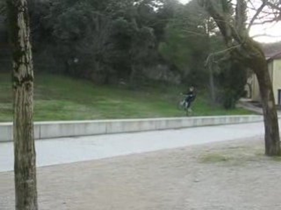 MVI_2010