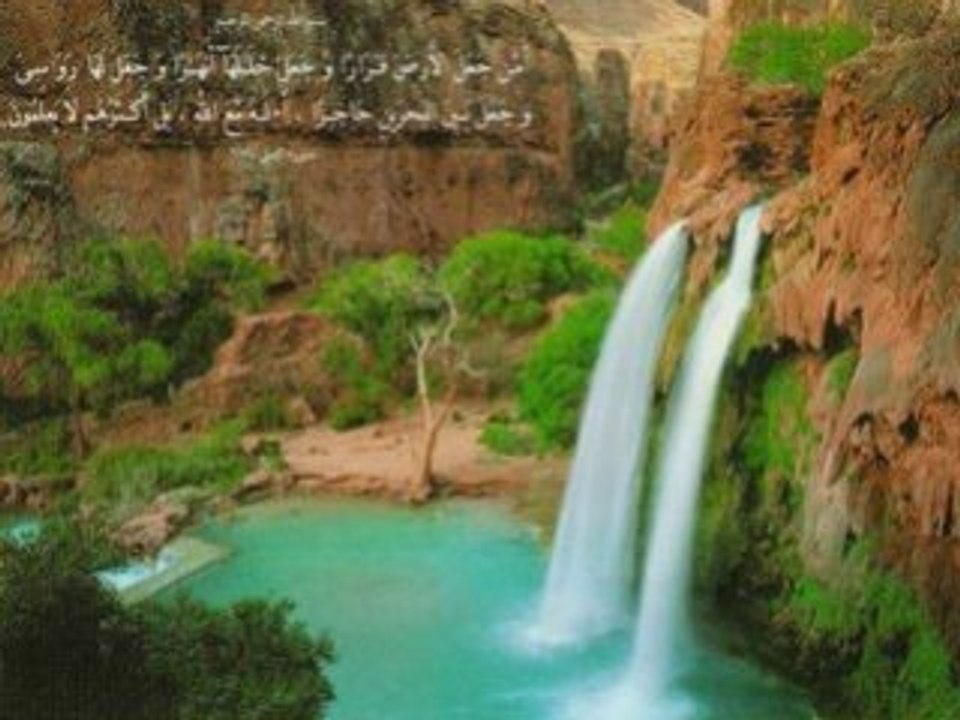 Chiekh mouhssiny5