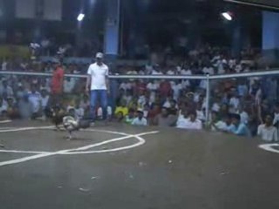 Bakbakan Final